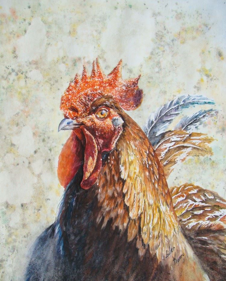 Un autre coq