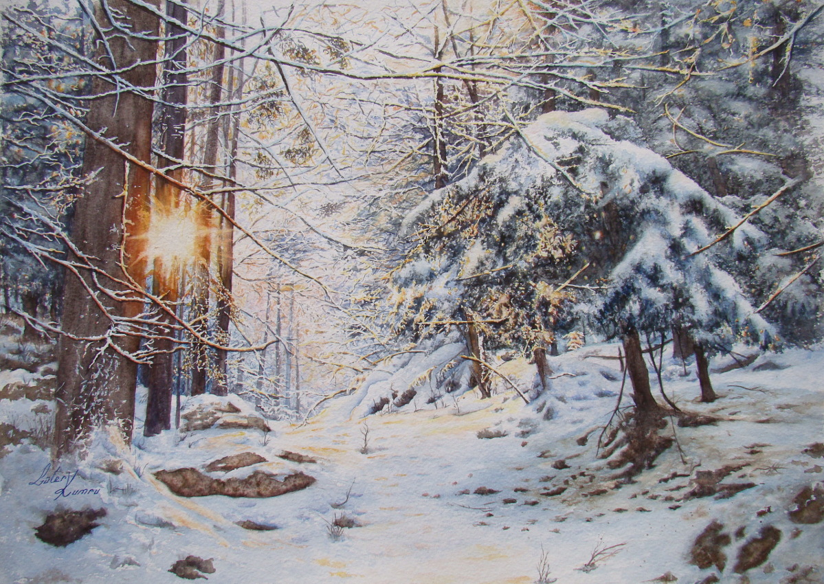 Paysage de neige dans les bois