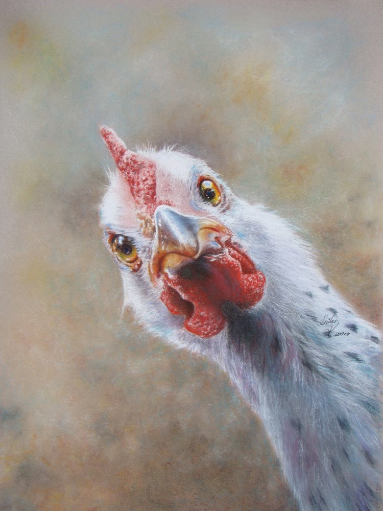 Coq